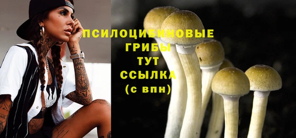 хмурый Абаза