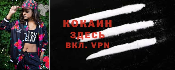 хмурый Абаза