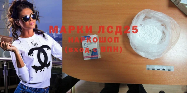 хмурый Абаза