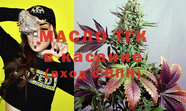 хмурый Абаза
