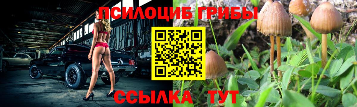 A-PVP СОЛЬ   МЕТАМФЕТАМИН  Марихуана  Амфетамин кристаллы  Меф МЯУ МЯУ кристаллы  COCAIN  Вход с VPN  Новоалександровск  Гашиш 